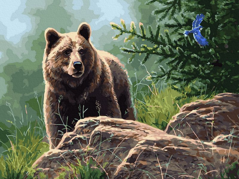 Картина по номерам с цветной схемой 40х50 СИБИРСКИЙ БУРЫЙ МЕДВЕДЬ 30 цветов