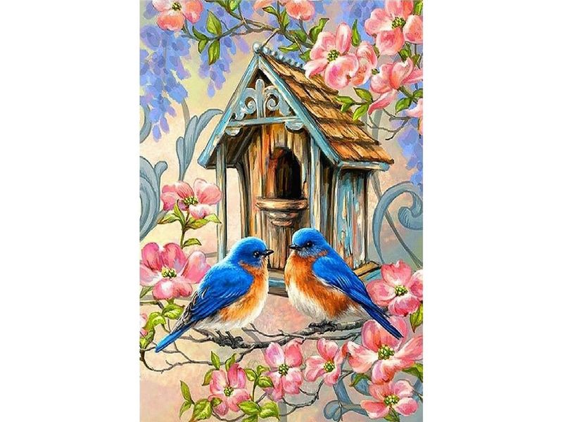 Набор юного художника 20х30 ПТИЦЫ У СКВОРЕЧНИКА 17 цветов