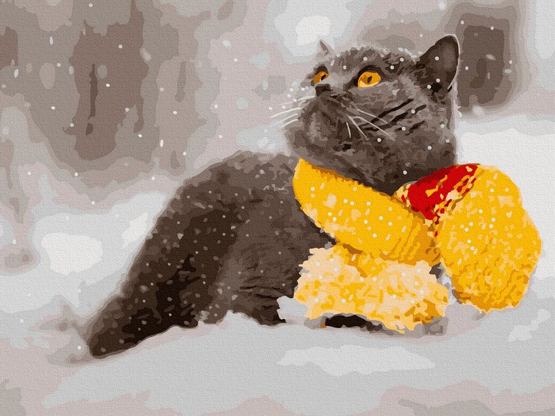 Картина по номерам с цветной схемой на холсте 30х40 БРИТАНЕЦ В ШАРФЕ 20 цветов