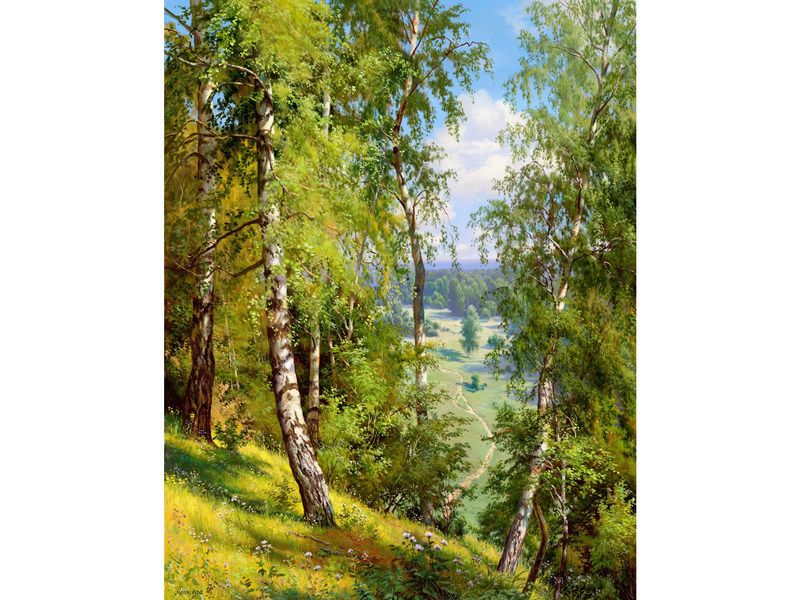 Картина мозаикой с нанесенной рамкой 40х50 ИПРИЩЕПА БЕРЕЗЫ В ЛЕСУ 27 цветов