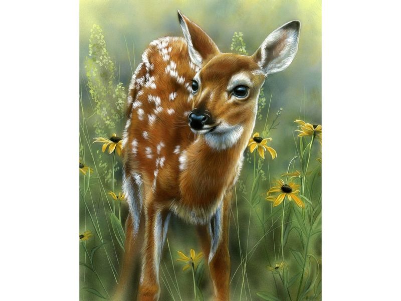 Картина по номерам с цветной схемой на холсте 30х40 Олененок 22 цветов