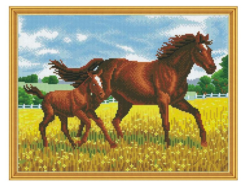 Алмазная мозаика с нанесенной рамкой 40х50 ПРОГУЛКА 28 цветов
