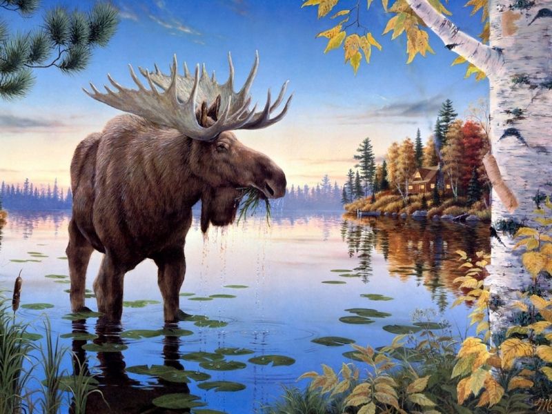 Картина по номерам с цветной схемой на холсте 30х40 Сохатый 20 цветов