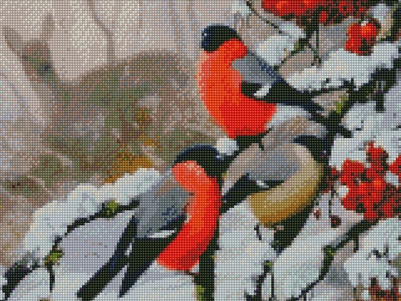Алмазная мозаика с нанесенной рамкой 40х50 СНЕГИРИ В ЛЕСУ 32 цвета