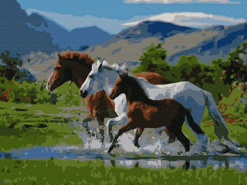 Картина по номерам с цветной схемой на холсте 30х40 ВОЛЬНЫЙ ВЕТЕР 19 цветов