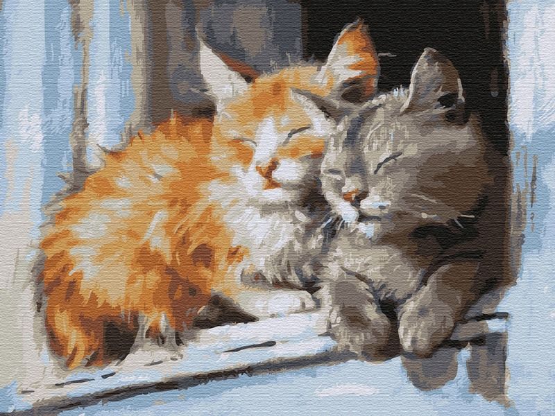 Картина по номерам с цветной схемой на холсте 30х40 Запахло весной 20 цветов