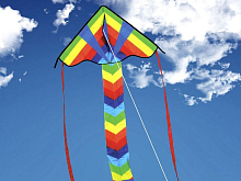 Воздушный змей HasiKites Радость 74х42