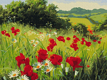 Картина по номерам 40х50 ЛУГОВЫЕ ЦВЕТЫ 26 цветов