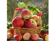 Картина по номерам 30х30 Аромат осени 22 цвета