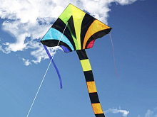 Воздушный змей HasiKites Тигр 117х76