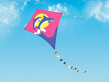 Воздушный змей HasiKites Дельфин 70х60