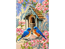 Набор юного художника 20х30 ПТИЦЫ У СКВОРЕЧНИКА 17 цветов