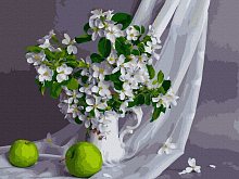 Картина по номерам с цветной схемой на холсте 30х40 ЯБЛОНЕВЫЙ ЦВЕТ 20 цветов