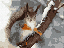 Картина по номерам 15х20 БЕЛОЧКА 15 цветов