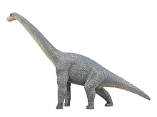 Фигурка KONIK Брахиозавр, голубой