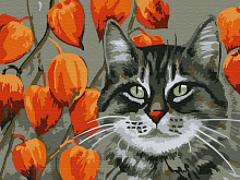 Картина по номерам 15х20 МЕЧТАТЕЛЬ 12 цветов