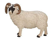 Фигурка KONIK Шотландский черноголовый баран