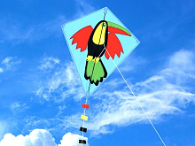 Воздушный змей HasiKites Попугай 70х60