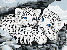 Картина по номерам 15х20 СНЕЖНЫЕ БАРСЫ 8 цветов