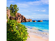 Картина по номерам 30х30 На далеких берегах 20 цветов