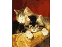 Картина по номерам 40х50 Котята 24 цвета