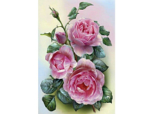 Набор юного художника 20х30 РОЗОВЫЕ РОЗЫ  15 цветов