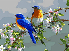 Набор юного художника 20х30 ВЕСЕННИЕ ПТИЦЫ15 цветов