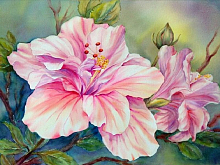 Набор юного художника 20х30 КРАСИВЫЙ ЦВЕТОК  18 цветов