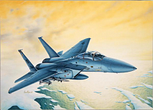 Сборная модель Самолёт F15C Eagle 172, шт