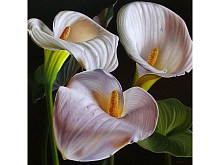 Картина мозаикой 30х30 БЕЛЫЕ КАЛЛЫ квадрат 17 цветов