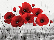 Картина по номерам 40х50 КРАСНЫЕ МАКИ НА СЕРОМ ФОНЕ 16 цветов