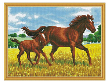 Алмазная мозаика с нанесенной рамкой 40х50 ПРОГУЛКА 28 цветов