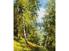 Картина по номерам 40х50 ПРИЩЕПА БЕРЕЗЫ В ЛЕСУ  26 цветов