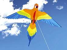 Воздушный змей HasiKites Попугай Клара 154х122