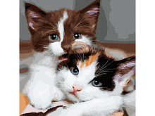 Картина по номерам 30х30 ПУШИСТЫЕ КОТЯТА 27 цветов