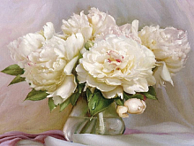 Картина по номерам 40х50 Бузин Нежные пионы 28 цветов