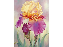 Алмазная мозаика 15х20 ИРИС 15 цветов