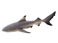 Фигурка KONIK Чернопёрая рифовая акула