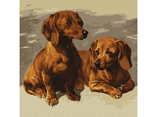 Картина по номерам 30х30 Таксы 18 цветов