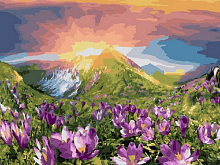 Картина по номерам 40х50 ВОСХОД 28 цветов