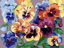 Картина по номерам 15х20 АНЮТИНЫ ГЛАЗКИ 15 цветов