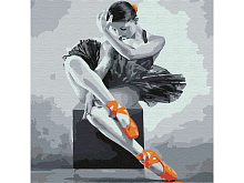 Картина по номерам 30Х30 ЮНАЯ БАЛЕРИНА 15 цветов