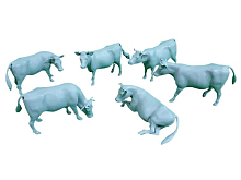 Набор фигурок СВМодель 6003 Коровы, 6 шт, 135