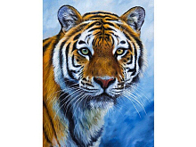 Набор юного художника 20х30 Глаза тигра 15 цветов