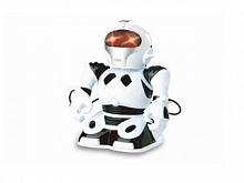 Мини-робот (TT338)