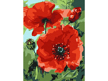 Картина по номерам 15х20 МАКИ 12 цветов