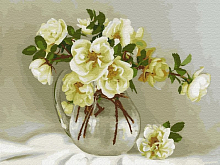 Картина по номерам 40х50 БУЗИН БЕЛЫЕ РОЗОЧКИ 24 цвета