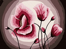 Картина по номерам 15х20 РОЗОВЫЕ МАКИ 12 цветов