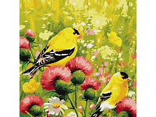 Картина по номерам 30х30 Иволги 21 цвет