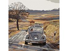 Картина по номерам 30х30 ФОЛЬКСВАГЕН ЖУК 18 цветов